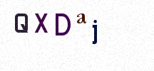 Visual Confirmation Security Code